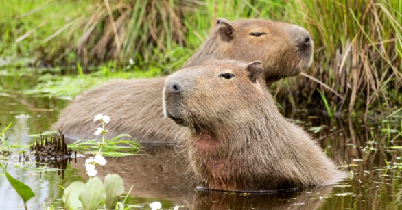 Source: Shutterstock