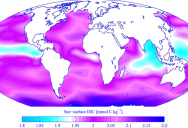 Multiple Environmental Startups Are Working On Ways To Help The Ocean Naturally Remove CO2 From The Atmosphere