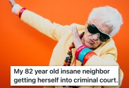 Her Elderly Neighbor Kept Getting More And More Unhinged, So The Courts Put Her In Her Place