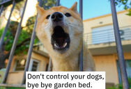 Mom Is Tired Of Her Neighbor’s Crazy Dogs Scaring Her Kids, So She Tricks The Dogs Into Destroying Their Owner’s Precious Garden