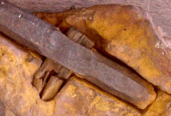 Here’s Why The “London Hammer” Actually Proves Evolutionary Theory Is Correct