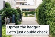 Her Neighbor Wanted A Hedge On “Her” Property Cut Down. It Turned Out The Hedge And Her Neighbor’s Garage Were Actually On Her Property Instead.