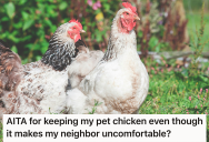 Her Pet Chicken Made Her Neighbor Uncomfortable Because She Thinks It’s Unhygienic, But She Doesn’t Think It’s Any Messier Than Other Pets