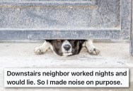Neighbor Lied About Her Dogs Barking And Got Her In Trouble With The Landlord, So She Made Sure To Make Their Lives Miserable