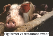 Restaurant Owner Uses His Connections To Block The Construction Of A Business Next to His Lot, So The Business Owner Builds A Disgusting Pig Farm Next To His Restaurant Instead