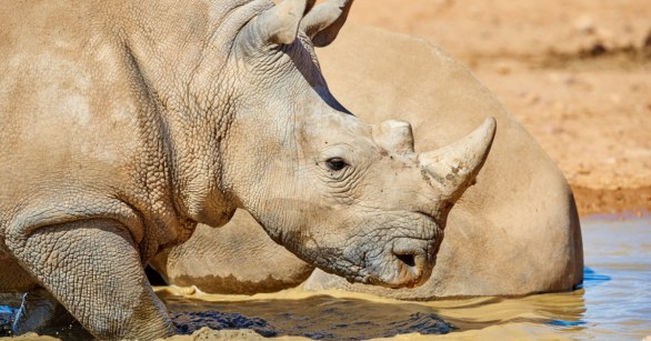 Source: Shutterstock