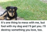 Neighbors Were Being Jerks Towards Him And His Dog, And Then The Dog Mysteriously Disappeared. So He Spelled Out A Message In Salt On Their Lawn To Get Ultimate Revenge.
