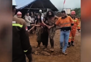 Video Shows Previously Uncontacted Tribe Begging For Food After Miners Destroy Their Land