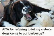 Her Sister Wants To Bring Her Fur Babies To The Family Barbecue, But Since She Never Cleans Up Their Poop She Bans Them From Coming