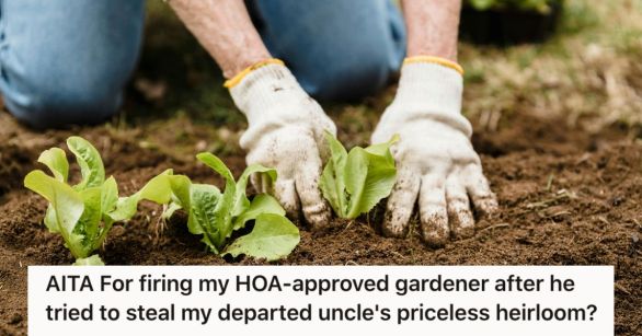 Source: Pexels/Greta Hoffman