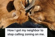 His Neighbor Kept Reporting Him To The Zoning Authorities, So He Reminded Him That Zoning Would Oppose What He’s Doing On His Property Too