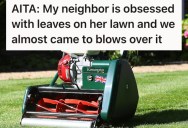 Annoying Neighbor Constantly Bugs Them About Their Property, So When She Starts Blowing Leaves On Their Driveway These Homeowners Fight Back