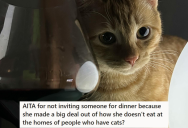 Her Mean Friend Loathed Her Cat, So She Decided To Not Invite Her Over For A Party. The Friend Got Offended, But Everyone Knows Not To Mess With Her Cat Now.