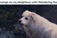 Homestead Owner’s Property Is Constantly Invaded By Neighbor’s Unruly Dogs, So He Adopts Two Big Dogs To Teach Them All A Lesson