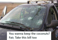 Neighbors Demanded They Keep Any Coconuts That Fell From Their Tree Into His Yard, So He Demanded That They Pay For The Damage The Coconuts Caused