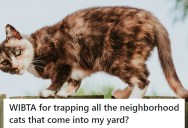 Neighborhood Has Several Outdoor Cats Who Keep Snagging Wild Birds, So A Neighbor Is Considering Trapping Them To Stop The Behavior