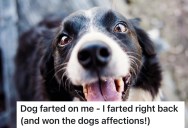 A Dog Disgusted Him With A Rancid Fart, So He Retaliated And Gained A Furry Friend