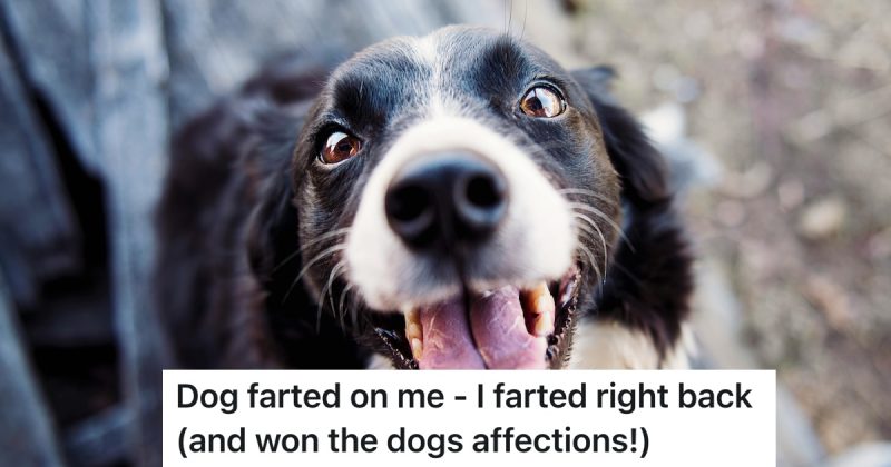 A Dog Disgusted Him With A Rancid Fart, So He Retaliated And Gained A ...