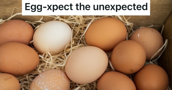 Source: Reddit/Malicious Compliance/Unsplash/Nick Fewings