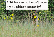 His Neighbor Refused To Take Care Of The Lawn On The Property Between Their Fences, So He Figured He’d Just Let It Grow Wild