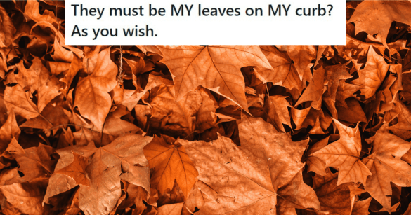 Source: Reddit/Malicious Compliance/pexels/Tomas Anunziata