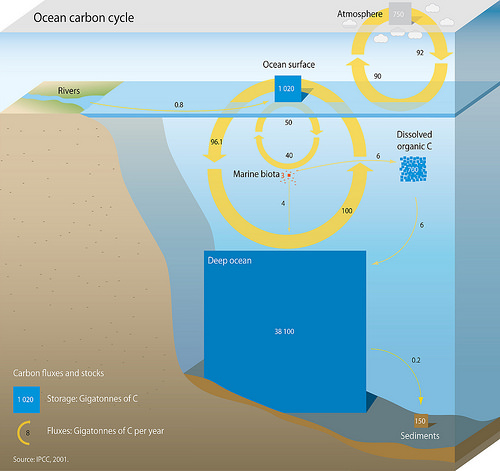 Source: IPCC