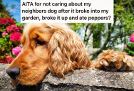 Neighbor’s Dog Breaks Into His Backyard, Eats Hot Peppers, And Pays The Price. Now The Dog’s Owner Is Mad At Him For Letting It Happen.