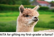 Dad Rented A Llama As A Birthday GIft To His Son, But His Neighbor Called Animal Control To Report A Wild Animal