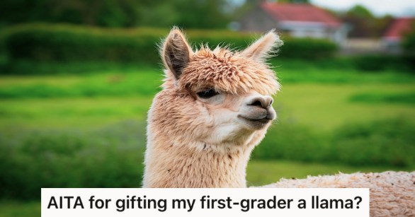 Source: Reddit/AITA/Pexels/Fred