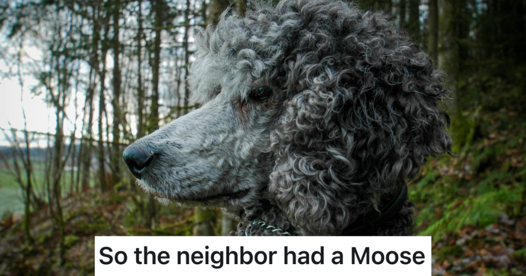 Their Dad Was Peeved At The Neighbor And Their Massive Dog "Moose," So He Accidentally Encouraged The Kids' Hilarious Revenge Plot