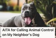 Her Neighbor Wouldn’t Prevent His Dog From Dumping In Her Yard, So She Finally Had Enough And Called Animal Control