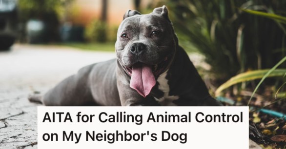 Source: Reddit/Unsplash/@mutedtone