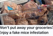 His Roommate Refused To Put His Food Away, So He Faked A Mice Infestation To Force Him To Finally Tidy Up His Mess