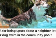 Neighbors Let Their Dog Swim In The Neighborhood Pool, So They Let Him Have It