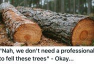 Their Dad Wouldn’t Listen To Their Protests When He Wanted To Cut Down Trees Himself, And He Ended Up Creating Some Big Damage