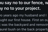 Their Neighbors Gave Them A Hard Time About Removing A Shared Bush, So They Responded By Saying No to Something That Involved Their Property