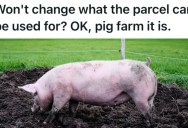 Woman Wasn’t Allowed To Turn Her Agricultural Land Into Residential Land, So She Turns It Into A Pig Farm Instead