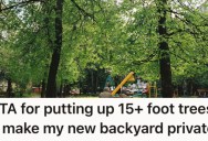 Homeowners Want To Plant Big Trees In Their Yard For Privacy, But The Neighbors Object Because It’ll Block Their Sunlight