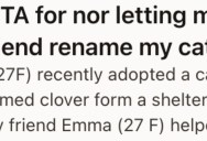 Her Friend Wants Her To Rename The Cat She Adopted, And Keeps Calling It The Names She Chose For It