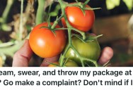 Woman Was Watering Some Volunteer Tomato Plants, But Her Neighbor Told Her To Stop Because They Weren’t On Her Property