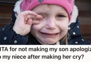 Their Son Made Their Sister’s Daughter Cry Over A Rude Comment, But They Won’t Make Him Apologize Because She Was Bratty First