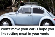 New Neighbors Were Rude And Ruined The Vibe Of The Street, So A Homeowner Got Even By Creating A Stinky Surprise For Their Cars And Forced Them To Move
