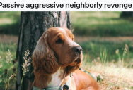 Her Neighbor’s Dog Almost Destroyed The Trees She Planted, So She Got Revenge Instead Of Letting Her Neighbor Buy Her New Trees