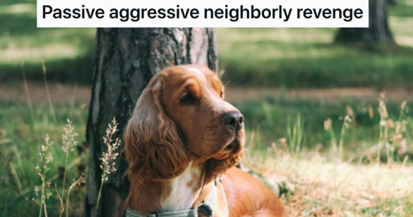 Source: Reddit/Petty Revenge/Pexels/Johann