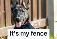 His Neighbor Refused To Help Pay To Replace The Fence Separating Their Yards, So He Replaced The Fence In A Way The Neighbor Won’t Like