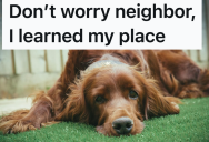 She Tried To Stop His Neighbors’ Dogs From Fighting With Each Other, But They Made It Clear Her Help Wasn’t Welcome