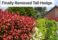 His Neighbors Kept Complaining About The Hedge That Separated Their Houses, So He Replaced It With Something Worse