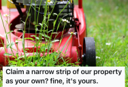 His Neighbor Built A Terrace That Overlapped His Property, So He Refused To Mow That Part Of His Yard