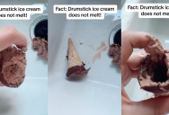 She Left A Drumstick Ice Cream Cone In Her Sink Overnight… And It Didn’t Melt