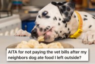 He Left Food On The Table Outside And The Neighbor’s Dog Ate it And Got Sick, So They Demand He Pay For The Vet Bills